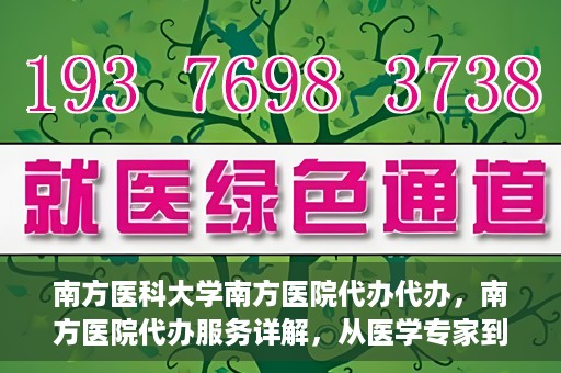 南方医科大学南方医院代办代办，南方医院代办服务详解，从医学专家到您的贴心助手