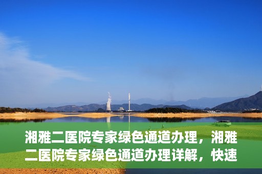 湘雅二医院专家绿色通道办理，湘雅二医院专家绿色通道办理详解，快速就医新途径揭秘