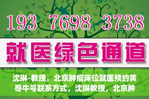 沈琳-教授，北京肿瘤床位就医预约黄哥牛号联系方式，沈琳教授，北京肿瘤床位预约热线及就医指南——黄哥牛号联系方式揭秘
