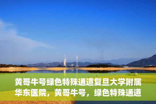黄哥牛号绿色特殊通道复旦大学附属华东医院，黄哥牛号，绿色特殊通道揭秘，华东医院新篇章开启