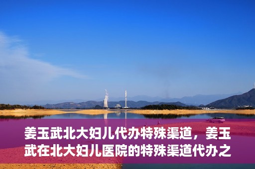 姜玉武北大妇儿代办特殊渠道，姜玉武在北大妇儿医院的特殊渠道代办之路