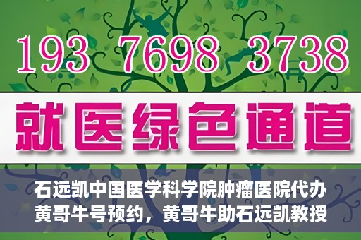 石远凯中国医学科学院肿瘤医院代办黄哥牛号预约，黄哥牛助石远凯教授预约挂号服务启动，中国医学科学院肿瘤医院便捷就医新通道开启