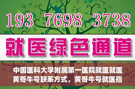 中国医科大学附属第一医院就医就医黄哥牛号联系方式，黄哥牛号就医指南，中国医科大学附属第一医院联系方式揭秘