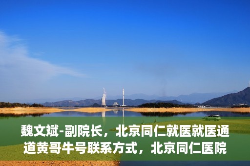 魏文斌-副院长，北京同仁就医就医通道黄哥牛号联系方式，北京同仁医院副院长魏文斌与就医通道，黄哥牛号联系方式揭秘