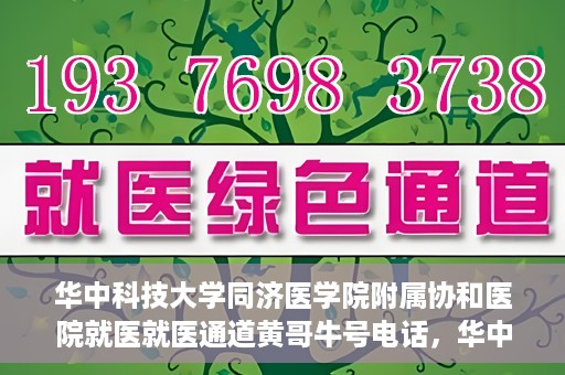 华中科技大学同济医学院附属协和医院就医就医通道黄哥牛号电话，华中科技大学同济医学院附属协和医院就医通道详解，黄哥牛号电话一键通预约就医服务