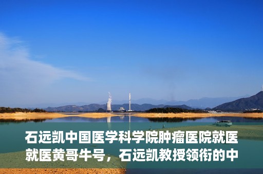 石远凯中国医学科学院肿瘤医院就医就医黄哥牛号，石远凯教授领衔的中国医学科学院肿瘤医院就医攻略，黄哥牛号助您轻松挂号就医