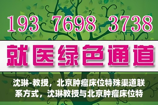 沈琳-教授，北京肿瘤床位特殊渠道联系方式，沈琳教授与北京肿瘤床位特殊渠道，权威解读与联系方式揭秘