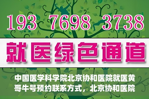 中国医学科学院北京协和医院就医黄哥牛号预约联系方式，北京协和医院黄哥牛号预约挂号联系方式揭秘，权威医学专家预约攻略