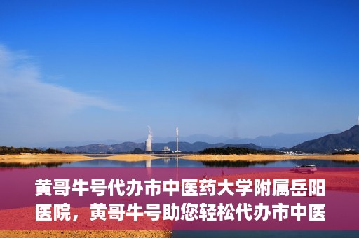黄哥牛号代办市中医药大学附属岳阳医院，黄哥牛号助您轻松代办市中医药大学附属岳阳医院事务