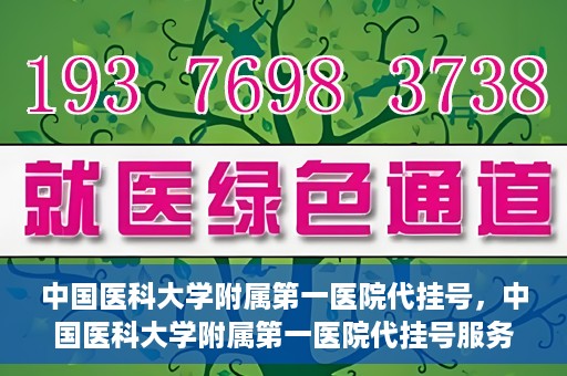 中国医科大学附属第一医院代挂号，中国医科大学附属第一医院代挂号服务详解