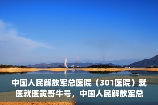 中国人民解放军总医院（301医院）就医就医黄哥牛号，中国人民解放军总医院（301医院）黄哥牛号就医攻略