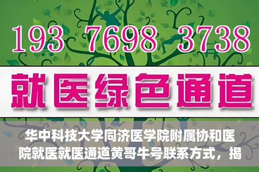 华中科技大学同济医学院附属协和医院就医就医通道黄哥牛号联系方式，揭秘华中科技大学同济医学院附属协和医院就医通道，黄哥牛号联系方式全解析
