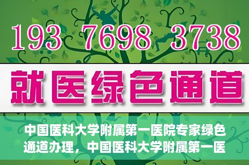 中国医科大学附属第一医院专家绿色通道办理，中国医科大学附属第一医院专家绿色通道办理详解，一站式服务助力高效就医体验
