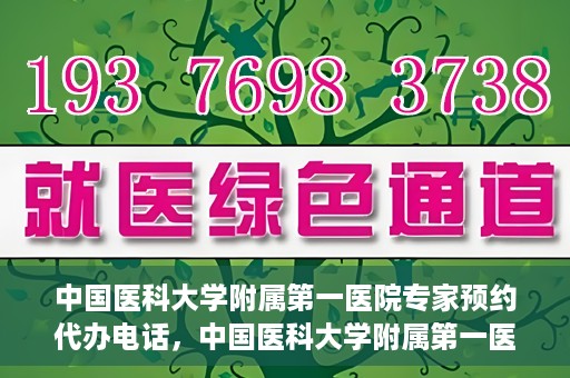 中国医科大学附属第一医院专家预约代办电话，中国医科大学附属第一医院专家预约挂号代办服务热线详解