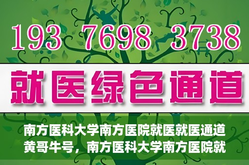 南方医科大学南方医院就医就医通道黄哥牛号，南方医科大学南方医院就医通道解析，黄哥牛号的就医之旅