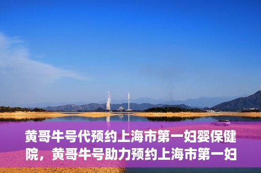 黄哥牛号代预约上海市第一妇婴保健院，黄哥牛号助力预约上海市第一妇婴保健院服务
