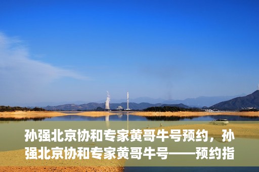 孙强北京协和专家黄哥牛号预约，孙强北京协和专家黄哥牛号——预约指南