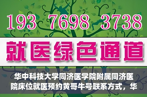 华中科技大学同济医学院附属同济医院床位就医预约黄哥牛号联系方式，华中科技大学同济医院床位预约联系方式及黄哥牛号揭秘
