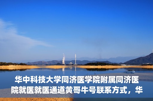 华中科技大学同济医学院附属同济医院就医就医通道黄哥牛号联系方式，华中科技大学同济医院就医通道详解，黄哥牛号联系方式揭秘
