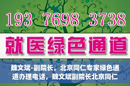 魏文斌-副院长，北京同仁专家绿色通道办理电话，魏文斌副院长北京同仁专家绿色通道联系电话及办理须知