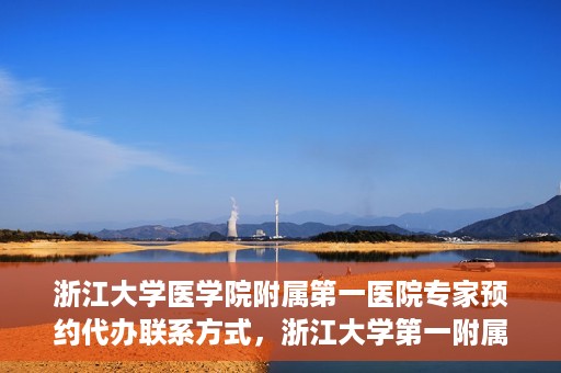 浙江大学医学院附属第一医院专家预约代办联系方式，浙江大学第一附属医院专家预约代办服务指南，快速便捷联系方式揭秘
