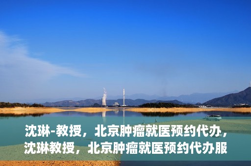 沈琳-教授，北京肿瘤就医预约代办，沈琳教授，北京肿瘤就医预约代办服务详解
