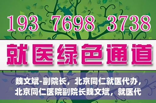 魏文斌-副院长，北京同仁就医代办，北京同仁医院副院长魏文斌，就医代办的专业解读与实践