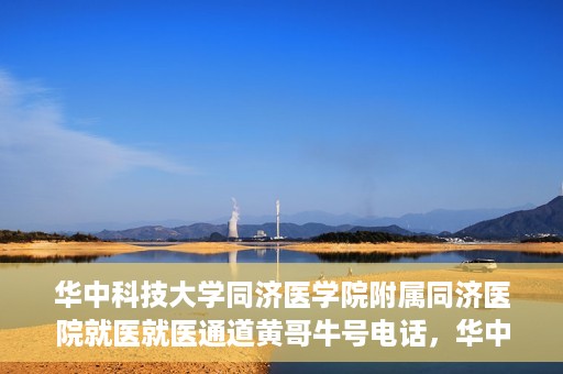 华中科技大学同济医学院附属同济医院就医就医通道黄哥牛号电话，华中科技大学同济医院就医通道详解，黄哥牛号电话一览无余