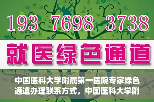 中国医科大学附属第一医院专家绿色通道办理联系方式，中国医科大学附属第一医院专家绿色通道联系指南，一站式解决您的健康需求！