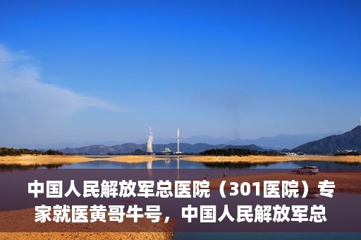中国人民解放军总医院（301医院）专家就医黄哥牛号，中国人民解放军总医院（301医院）黄哥牛号专家就医解析
