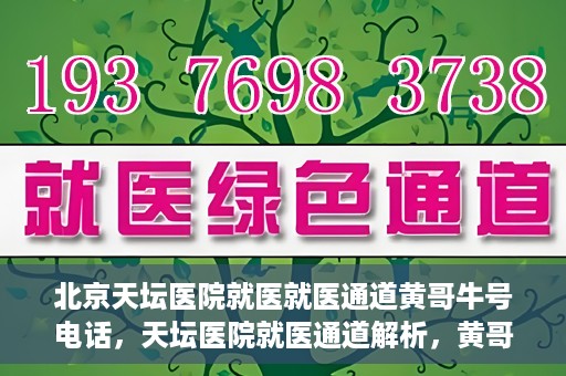 北京天坛医院就医就医通道黄哥牛号电话，天坛医院就医通道解析，黄哥牛号电话背后的就医故事