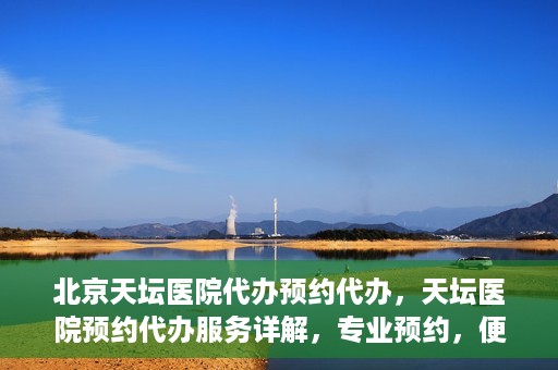 北京天坛医院代办预约代办，天坛医院预约代办服务详解，专业预约，便捷就医新选择