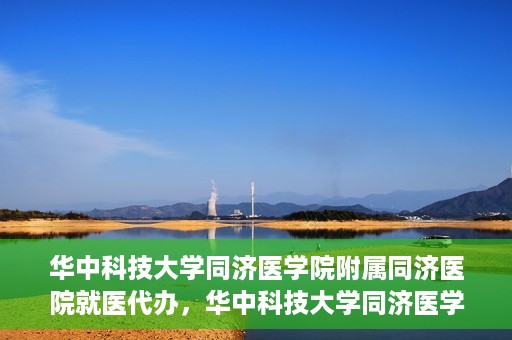 华中科技大学同济医学院附属同济医院就医代办，华中科技大学同济医学院附属同济医院就医代办服务详解