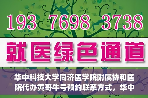 华中科技大学同济医学院附属协和医院代办黄哥牛号预约联系方式，华中科技大学同济医学院附属协和医院代办预约联系方式，黄哥牛号预约揭秘