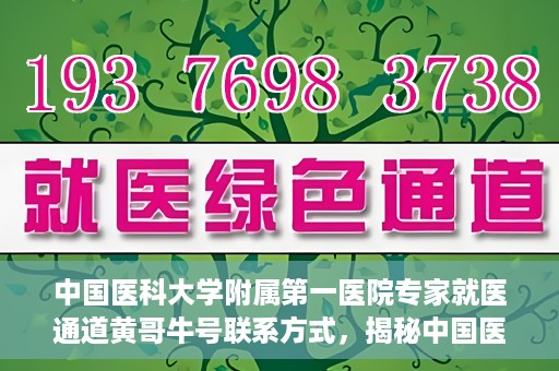 中国医科大学附属第一医院专家就医通道黄哥牛号联系方式，揭秘中国医科大学附属第一医院专家就医通道，黄哥牛号联系方式全解析