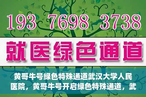 黄哥牛号绿色特殊通道武汉大学人民医院，黄哥牛号开启绿色特殊通道，武汉大学人民医院全力护航健康之路