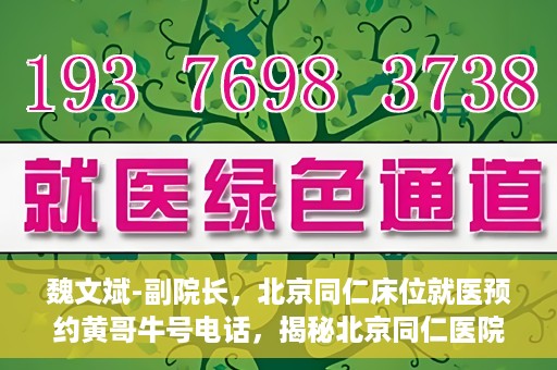 魏文斌-副院长，北京同仁床位就医预约黄哥牛号电话，揭秘北京同仁医院预约背后的故事，副院长魏文斌与床位预约黄哥牛号电话解读