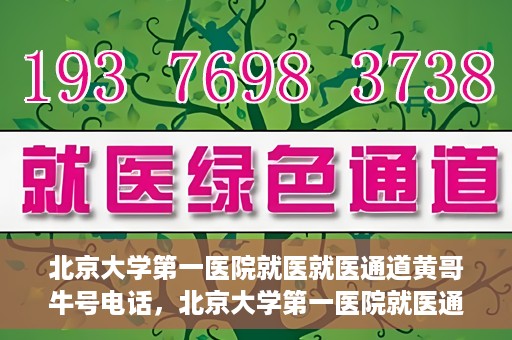 北京大学第一医院就医就医通道黄哥牛号电话，北京大学第一医院就医通道解析，黄哥牛号电话全解读