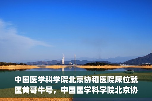 中国医学科学院北京协和医院床位就医黄哥牛号，中国医学科学院北京协和医院床位就医攻略，黄哥牛号助您轻松挂号就医