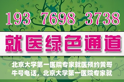 北京大学第一医院专家就医预约黄哥牛号电话，北京大学第一医院专家就医预约热线黄哥牛号电话全攻略
