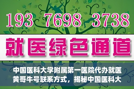 中国医科大学附属第一医院代办就医黄哥牛号联系方式，揭秘中国医科大学附属第一医院代办就医联系人黄哥牛号联系方式，专业服务的背后故事