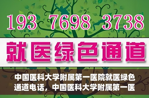 中国医科大学附属第一医院就医绿色通道电话，中国医科大学附属第一医院就医绿色通道服务热线电话解析及介绍