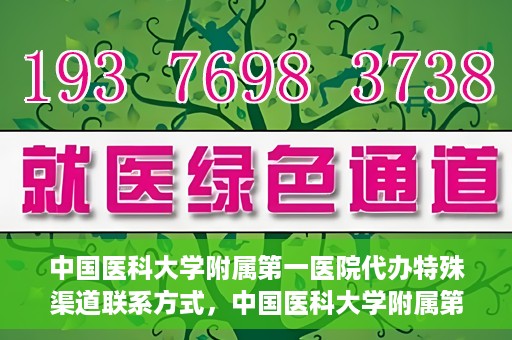 中国医科大学附属第一医院代办特殊渠道联系方式，中国医科大学附属第一医院特殊渠道联系方式揭秘