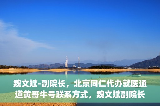 魏文斌-副院长，北京同仁代办就医通道黄哥牛号联系方式，魏文斌副院长与北京同仁就医通道，黄哥牛号联系方式揭秘
