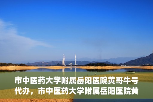 市中医药大学附属岳阳医院黄哥牛号代办，市中医药大学附属岳阳医院黄哥牛号代办，一站式医疗服务的信赖之选