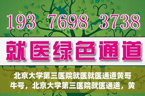 北京大学第三医院就医就医通道黄哥牛号，北京大学第三医院就医通道，黄哥牛号助您便捷就医体验