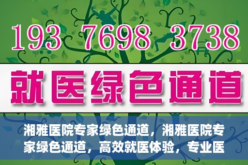 湘雅医院专家绿色通道，湘雅医院专家绿色通道，高效就医体验，专业医疗服务的快速通道