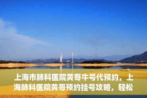 上海市肺科医院黄哥牛号代预约，上海肺科医院黄哥预约挂号攻略，轻松预约牛号