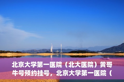 北京大学第一医院（北大医院）黄哥牛号预约挂号，北京大学第一医院（北大医院）黄哥牛号，预约挂号攻略