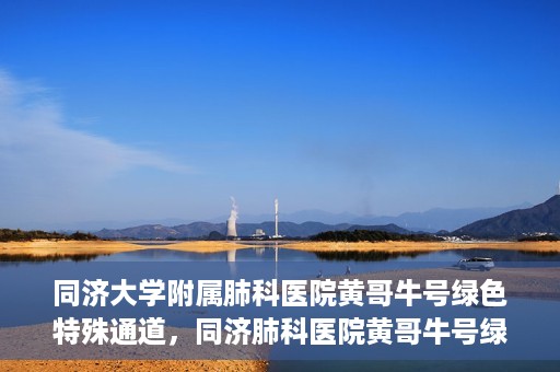 同济大学附属肺科医院黄哥牛号绿色特殊通道，同济肺科医院黄哥牛号绿色特殊通道揭秘